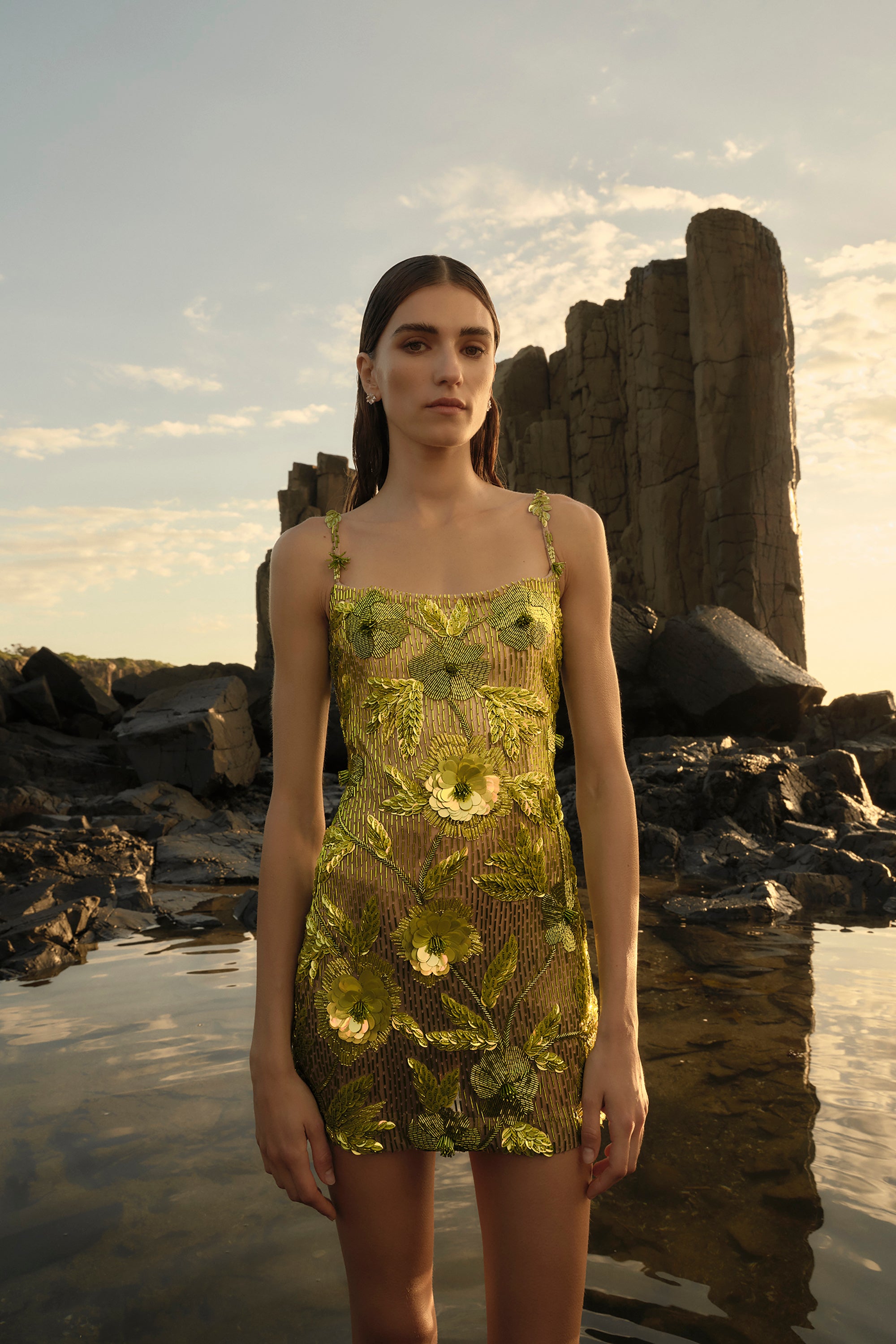rachel gilbert floral sequin dress Rachel Gilbert Francesca Gown | Sequins Dress, Gold Formal Dress, Gala, Reception Dress by Rachel Gilbert
