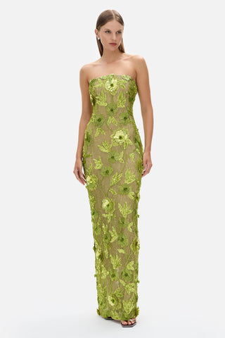 Pierre Gown