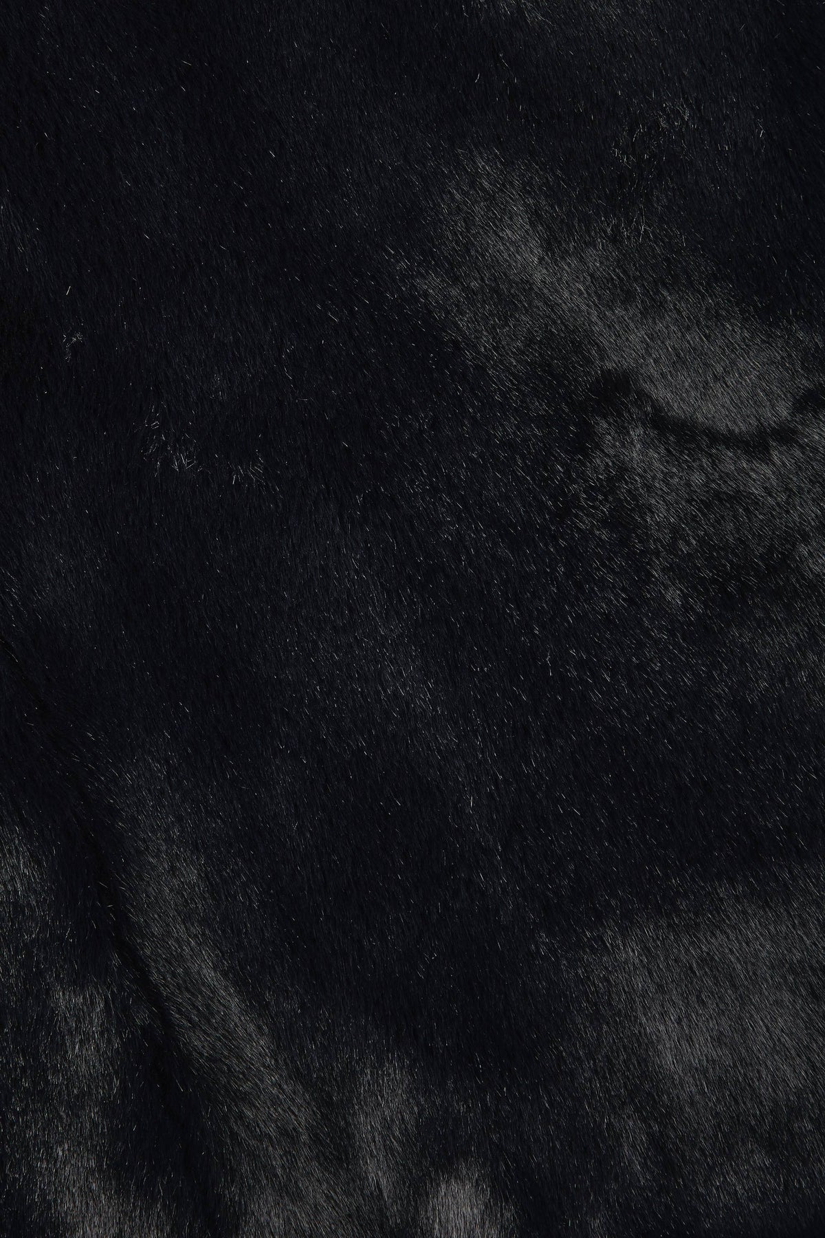 Noah Coat