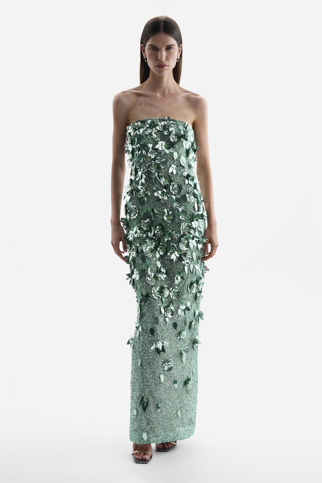 Hugo Strapless Gown