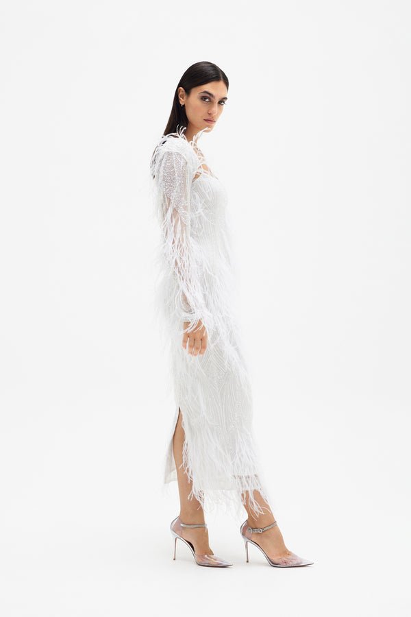 ASTER BOLERO