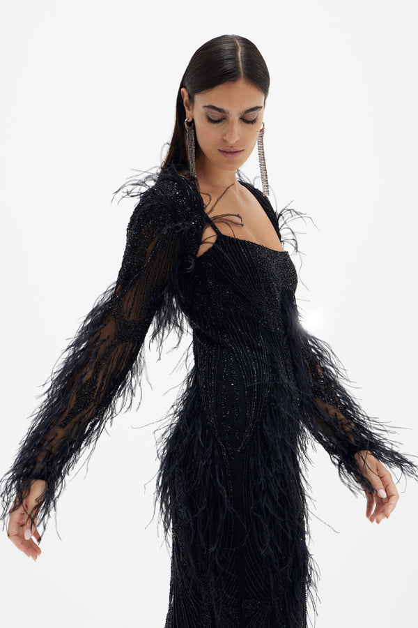 ASTER BOLERO