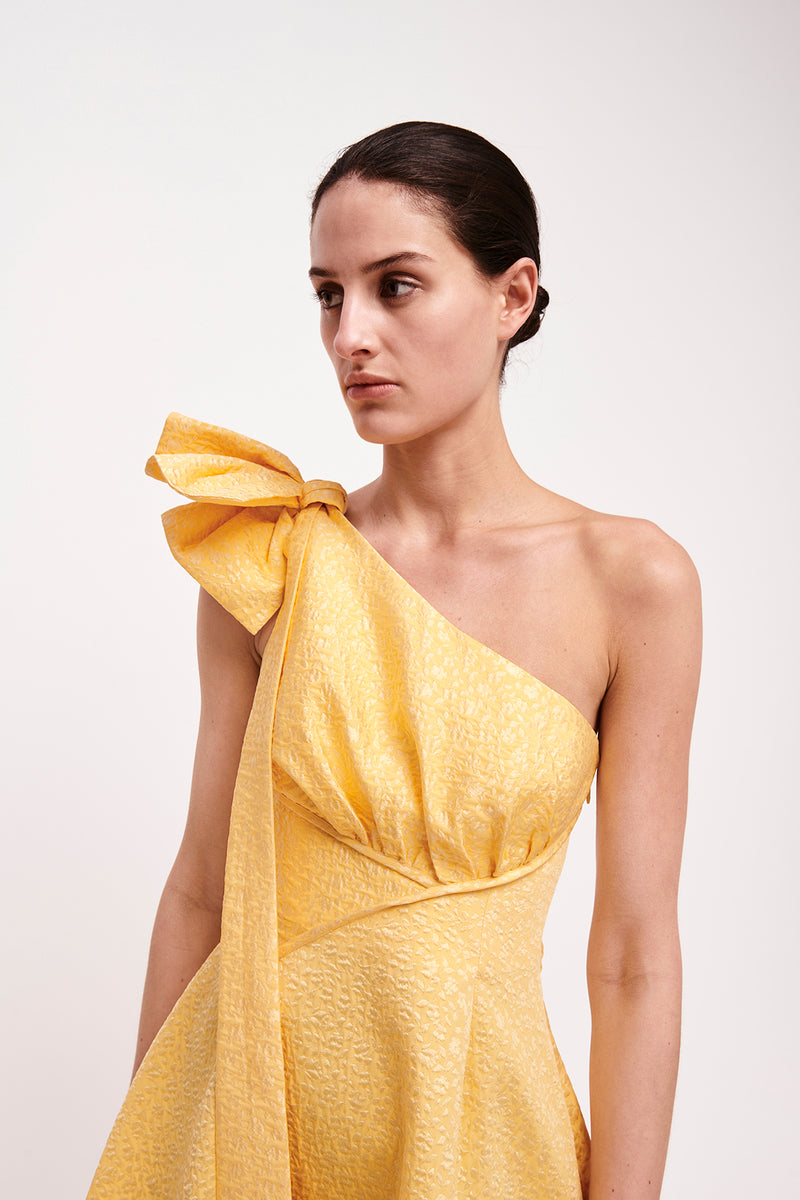 Rachel gilbert top yellow dress